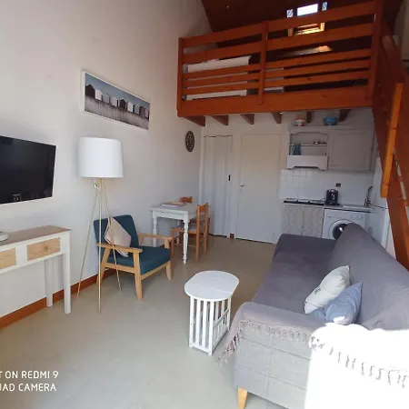 Studio Duplex Apartment Saint-Palais-sur-Mer